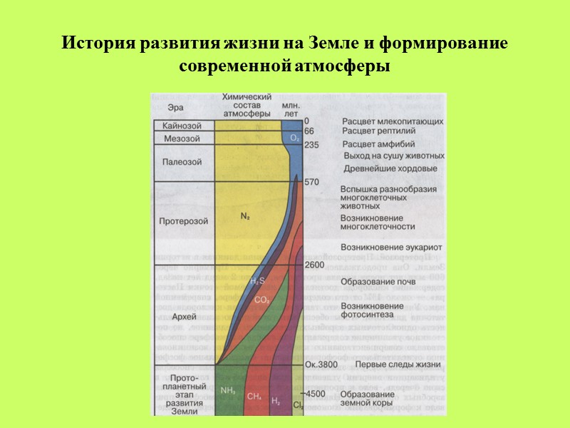 История развития жизни на Земле и формирование современной атмосферы